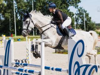 Utalentowana klacz sportowa