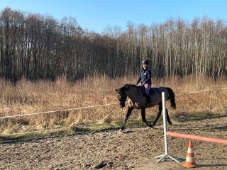 Oddam w dzierżawę!