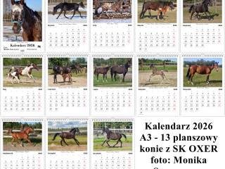 Kalendarz z końmi na 2026 rok