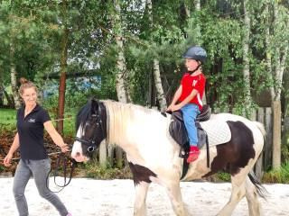 Wałach srokaty rekreacja/hipoterapia