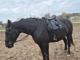 Daf Mag rajdowe nowe prosto z produkcji