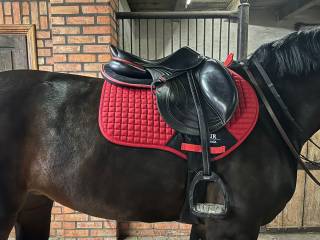 Sprzedam rewelacyjne siodło skokowe CWD