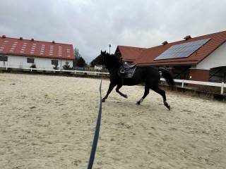 Avangarda -L do wkkw