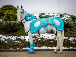 Horse-Mag – Terapie PEMF, Laser, Ultradźwięki, Termografia, Masaż, Ważenie koni