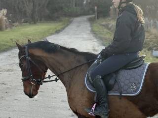 WSPANIAŁA KLACZ DLA AMATORA