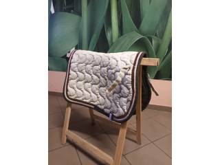 Czaprak schockemohle