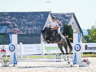 Klacz Fabregas S x Carry Son