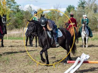Bardzo odważny kucyk klaczka