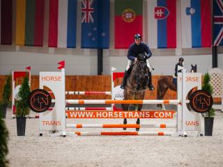 Klacz gniada Rita 5 lat