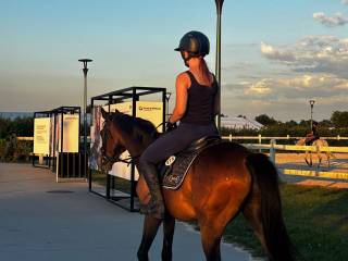 Współdzierżawa kucyka. Możliwość startów