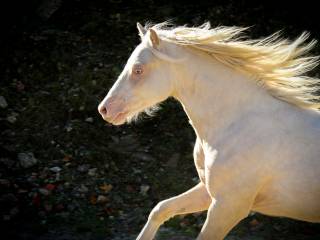 Chwytający za oko dwulatek
