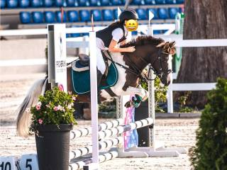 śliczny kucyk dla dziecka