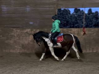 Kuc do sportu możliwa zamiana