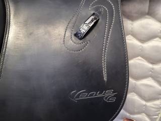 Prestige Venus VS 17/31