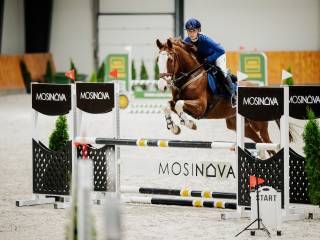 Malowany wałach skoki L-P Apollo