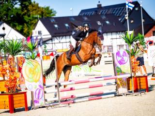 Przyszłościowa klacz do sportu