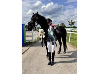 Trening ujeżdżeniowy