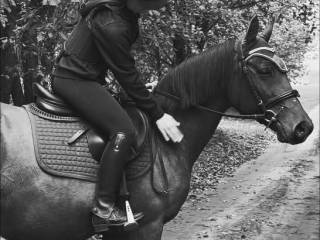 sprzedam super Araba