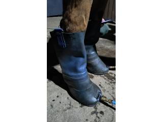 Wynajmę długoterminowo aparat OzonHorse do ozonoterapii