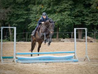 Sportowa klacz gotowa na starty