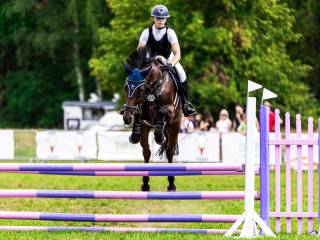 5letnia klacz, z dobrym rodowodem i potencjałem sportowym / hodowlanym