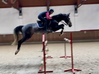 Bomboodporny 4latek po rodzicach skaczących 160 i 150