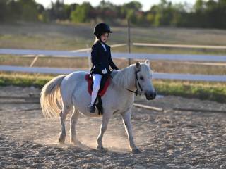 Kucyk dla poczatkującego