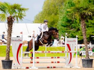 Ambitna 5 letnia klacz do skoków.