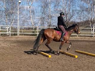 Nanti - szuka nowego przyjaciela