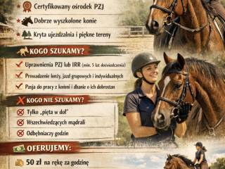 Szukamy instruktora jazdy konnej