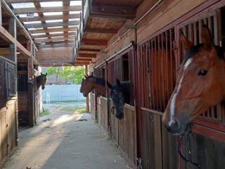 Praca jeździec oraz luzak