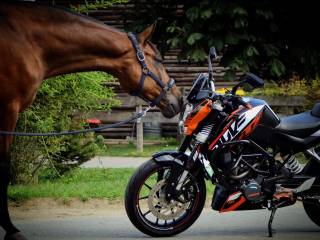 Łaskot - CZYSTY TUV  !!!