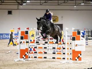 Rewelacyjny juniorski/amatorski wałach na konkursy 120/125