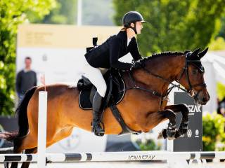 Klacz gotowa do startów - profesorka - dla dziecka /dorosłego