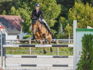 Klacz gotowa do startów - profesorka - dla dziecka /dorosłego