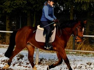 Wałach z super charaktetem