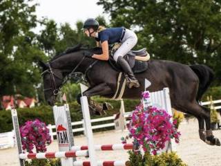 10-letnia klacz Kannan x Diamant de Semilly