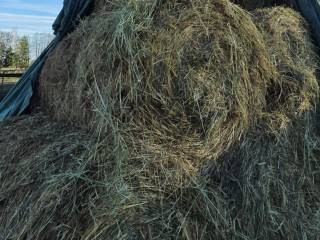 Sprzedam zielone pachnące siano baloty  120