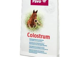 Siara z mlekiem dla źrebaka