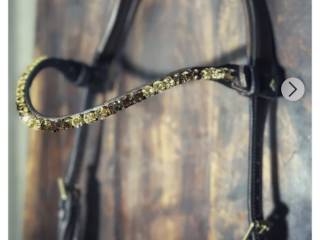 Ogłowie Masego Coco