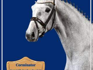 CORMINATOR  Ogier hodowlany – sezon 2026