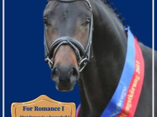 FOR ROMANCE I OLD Ogier hodowlany – sezon 2026