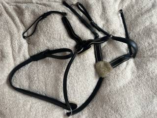 Napierśnik 5-cio punktowy, Full