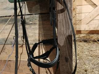 Sprzedam ogłowie bezwędzidłowe