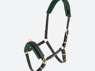 Kawecan Edition-Geitner