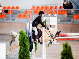 ZŁOTY TOP KUCYK STORM GRUPA A1