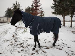 derka roz 155 cm z kapturem