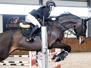 Bardzo przyszłościowy wałach!