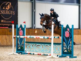 Bardzo szczera klacz do sportu