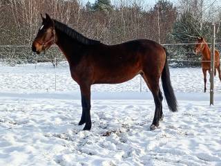 Ghost szuka swojego człowieka